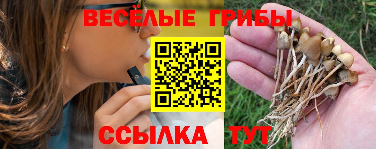 Галлюциногенные грибы Psilocybine cubensis  Псилоцибиновые грибы ЛСД  Хабаровск  Вход с VPN 